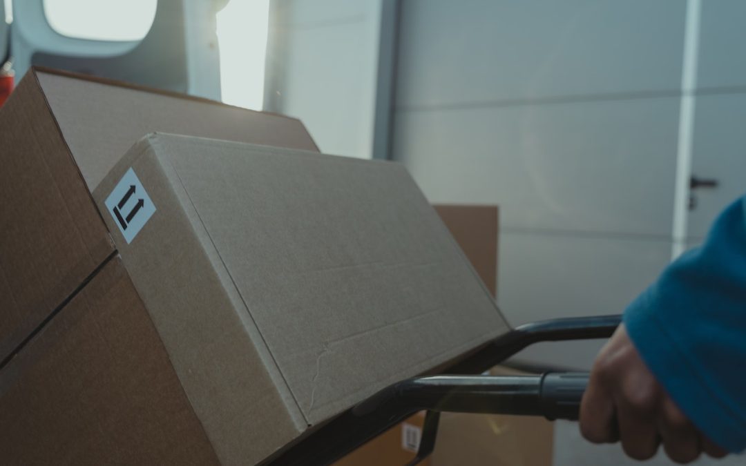 pexels-tima-miroshnichenko-6169182-min