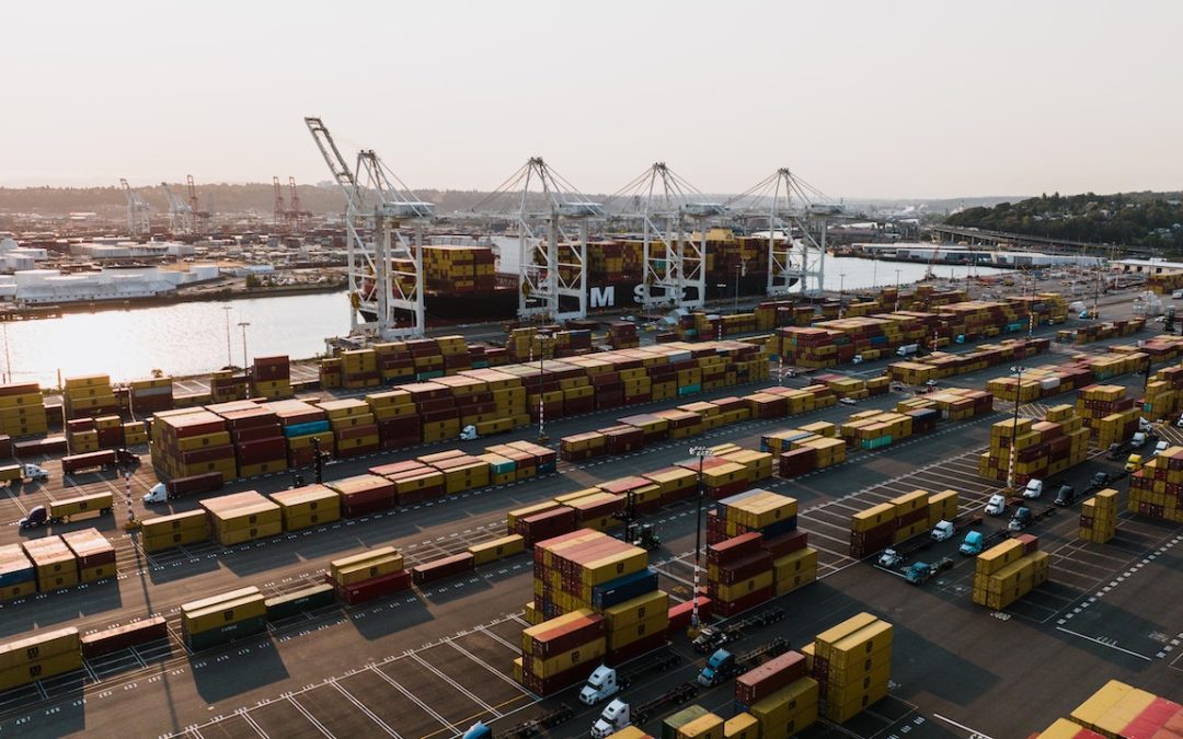 pexels-kelly-13766344-min