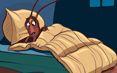 Would you share your bed with a giant cockroach?