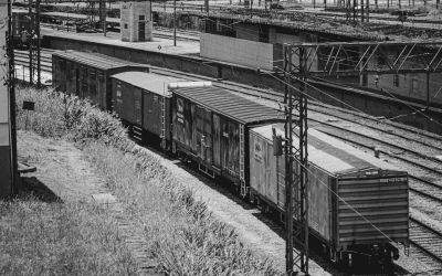 Freight Forwarding In Numbers: Fascinating Stats And Stories From Around The Globe