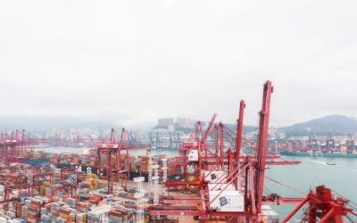 How to Handle Customs in Countries with Complex Regulations: A Survival Guide