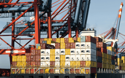 Sustainability in Shipping – How Small Changes Make a Big Impact