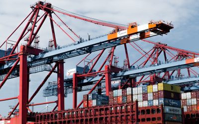 Essential Customs Clearance Tips for New Exporters