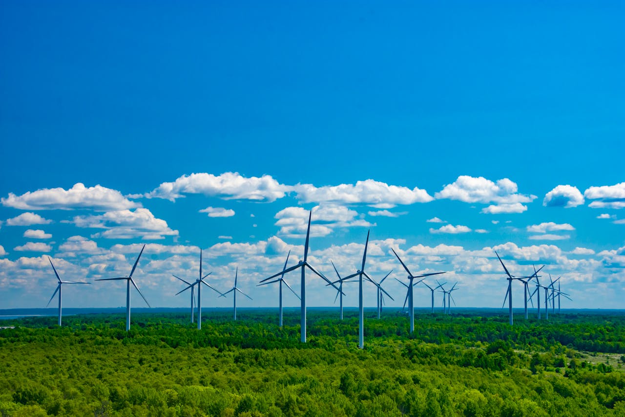 लॉजिस्टिक्स में कार्बन ऑफसेटिंग - वास्तविक समाधान या ग्रीनवाशिंग2 लॉजिस्टिक्स में कार्बन ऑफसेटिंग - वास्तविक समाधान या ग्रीनवाशिंग2