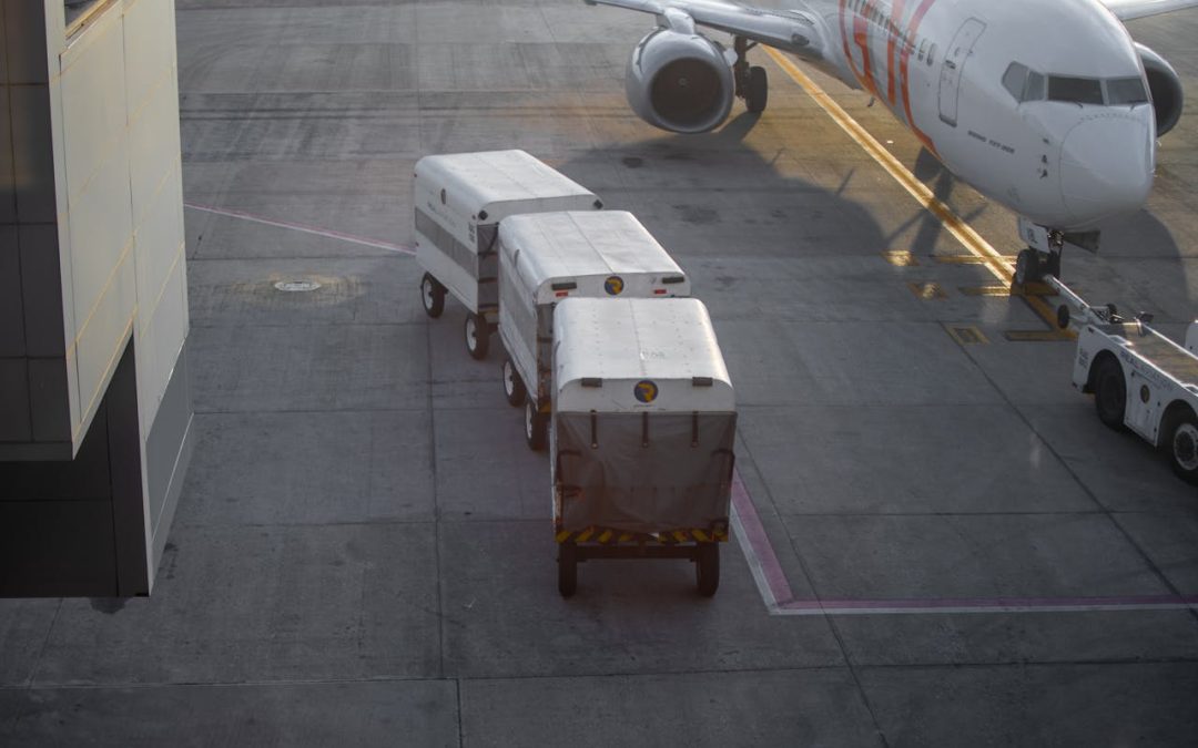 Considérations particulières relatives à l&#39;expédition d&#39;articles de luxe de grande valeur